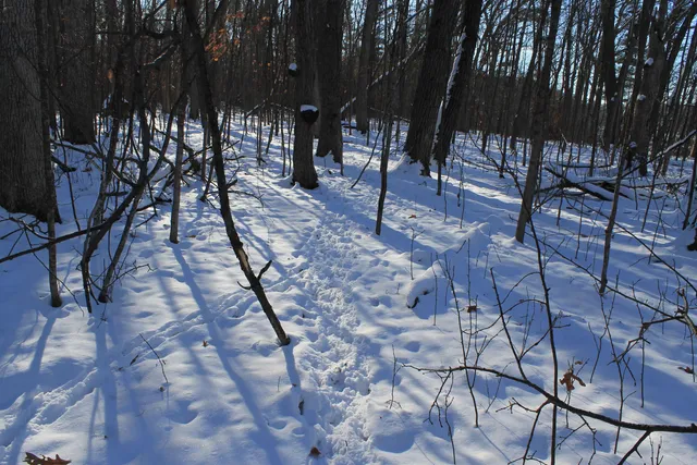 $1,700,000 | Old Military Road, Unit 1A, De Pere, WI 54115