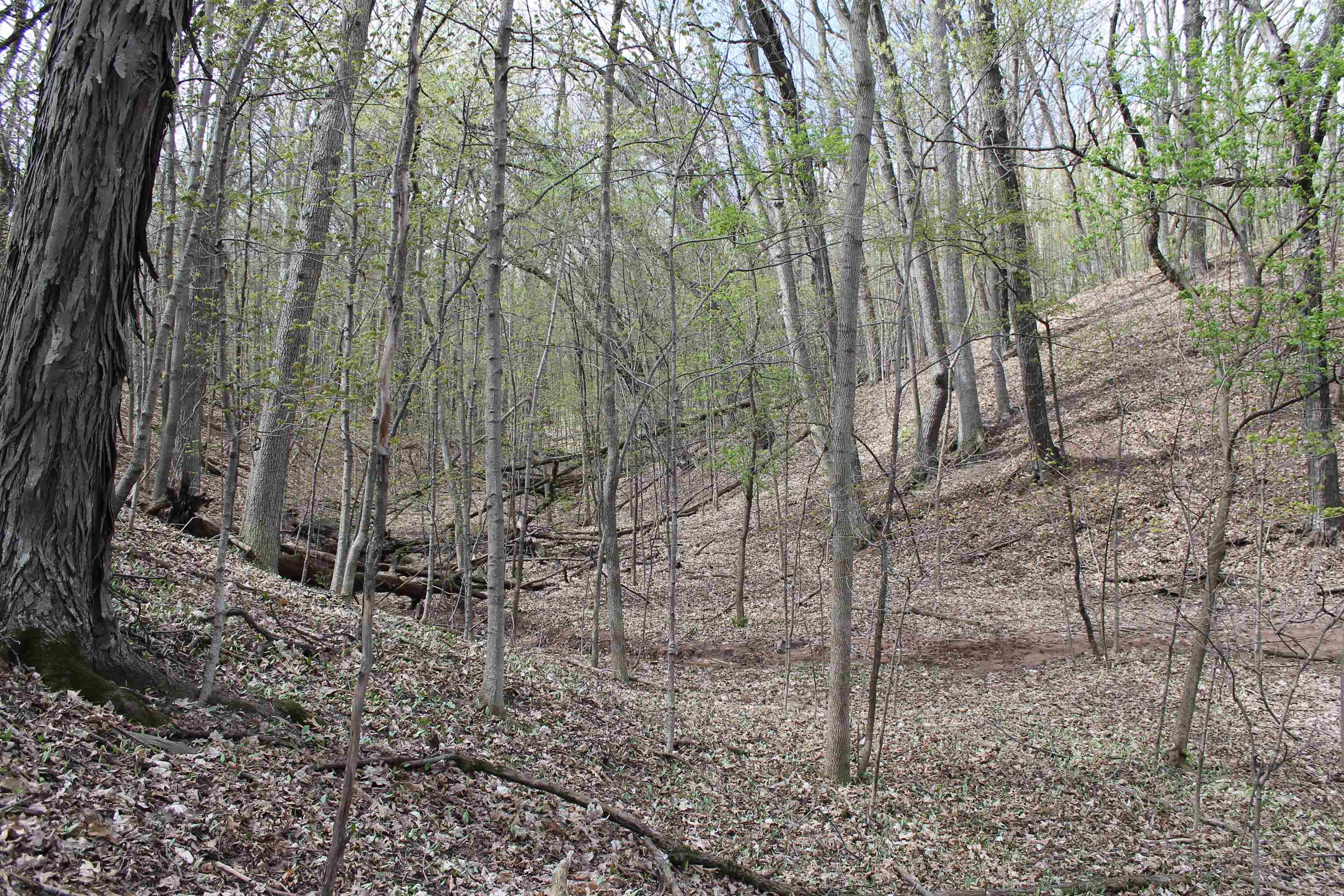 Old Military Road, Unit 1A De Pere, WI 54115 - Photo 28 of 35