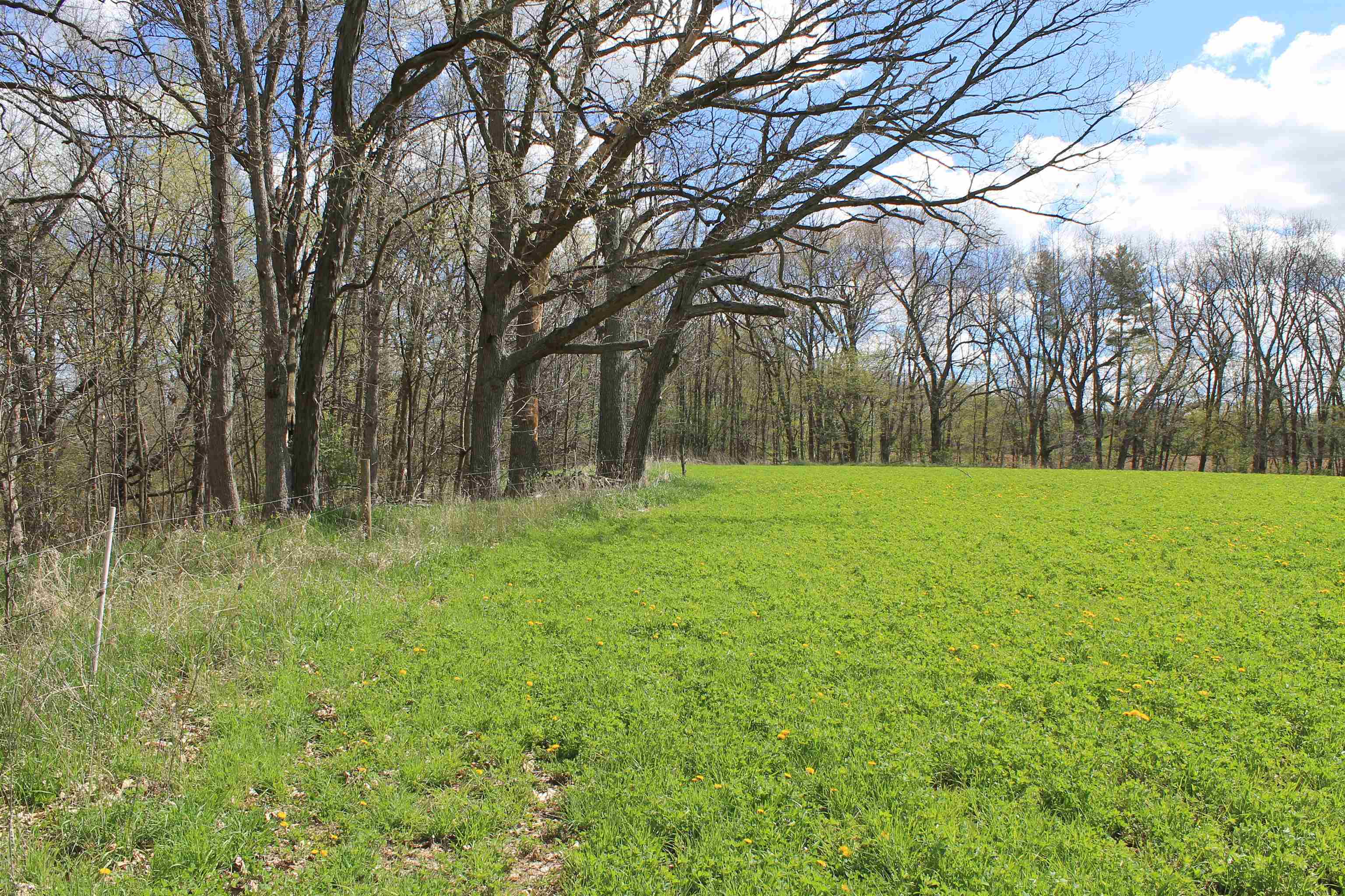 Old Military Road, Unit 1A De Pere, WI 54115 - Photo 29 of 35
