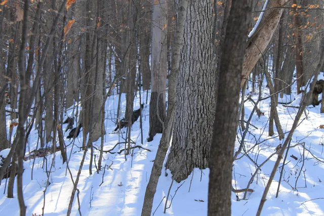 $1,700,000 | Old Military Road, Unit 1A, De Pere, WI 54115