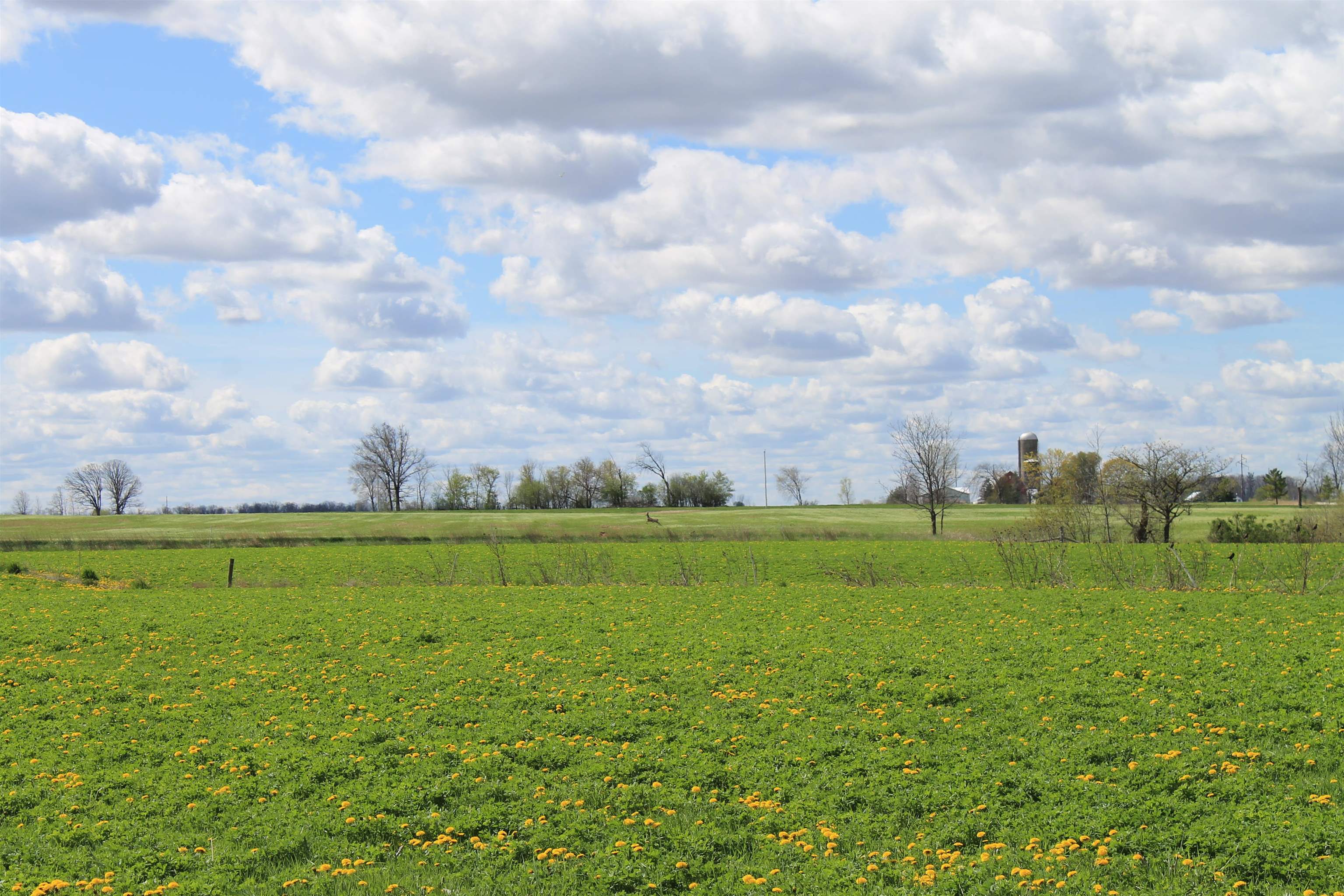 Old Military Road, Unit 1A De Pere, WI 54115 - Photo 30 of 35