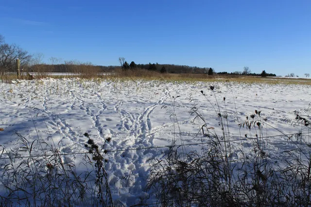 $1,700,000 | Old Military Road, Unit 1A, De Pere, WI 54115