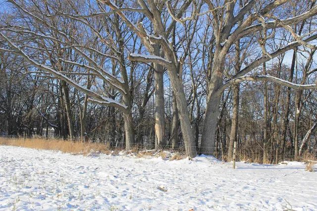 $1,700,000 | Old Military Road, Unit 1A, De Pere, WI 54115