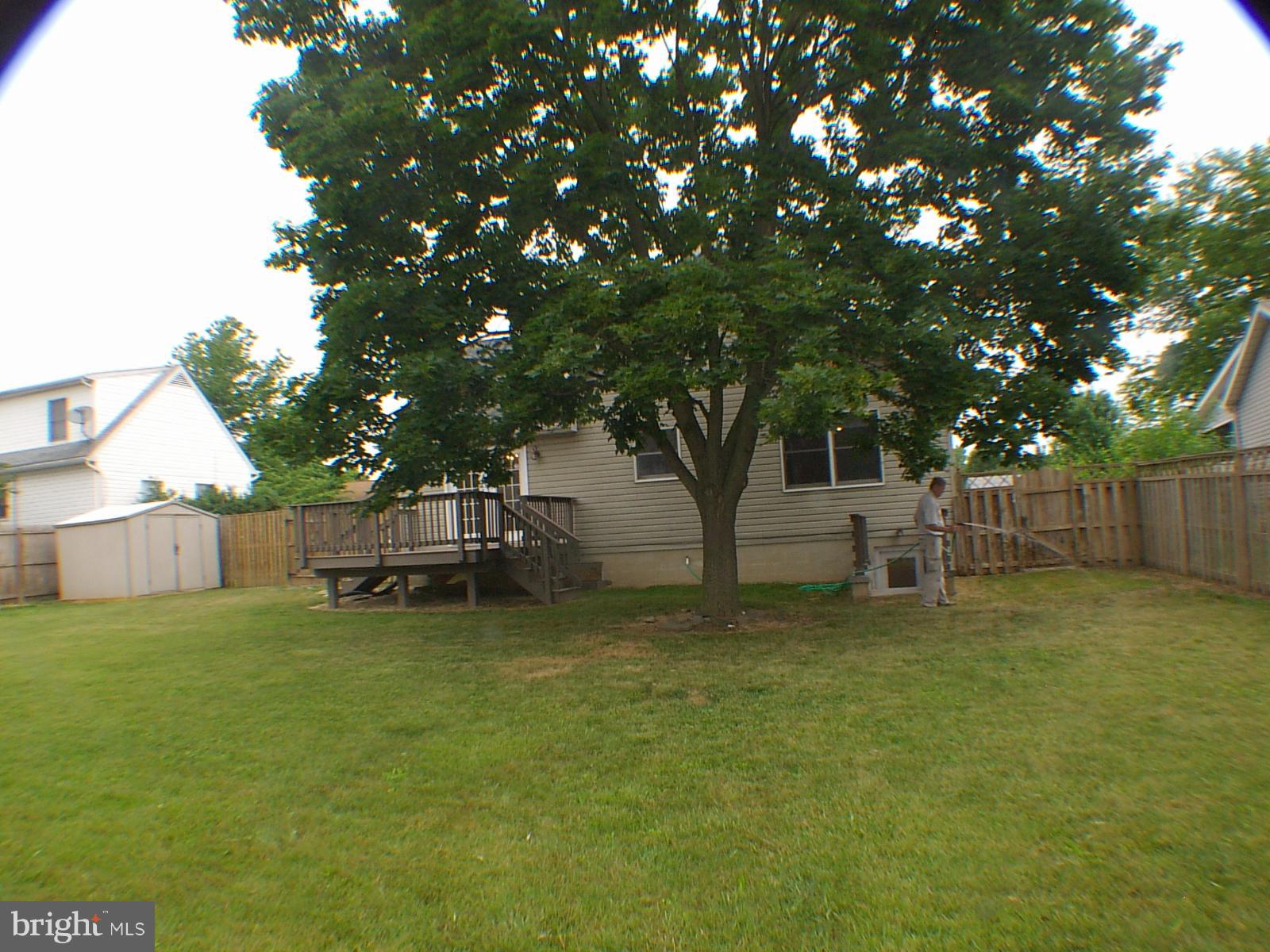 205 Raven Road Stephens City, VA 22655 - Photo 24 of 27 Exterior (Rear) w/ 10 X 12 shed.