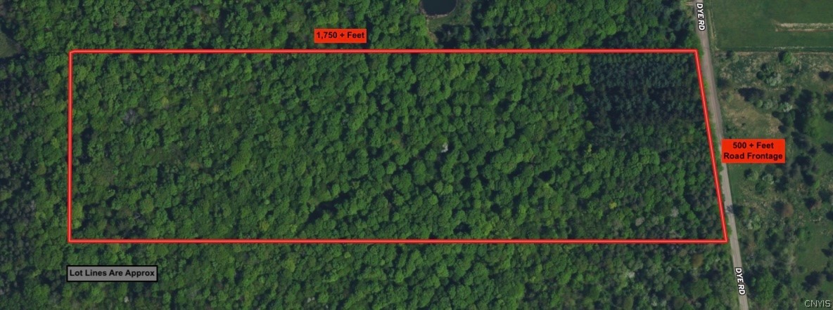 Dye Road South Dayton, NY 14138 - Photo 2 of 27