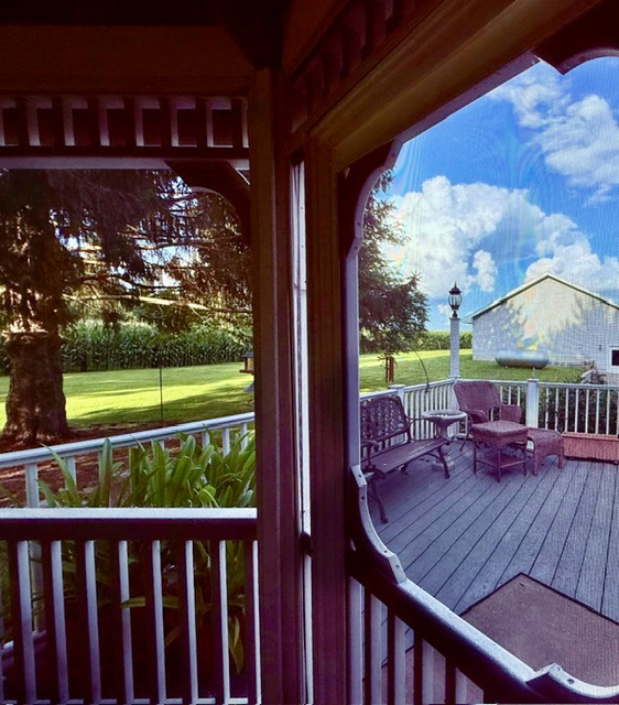 2636 South Homer Lake Road Homer, IL 61849 - Photo 45 of 176