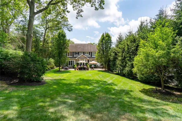 a view of a big yard with plants and large trees