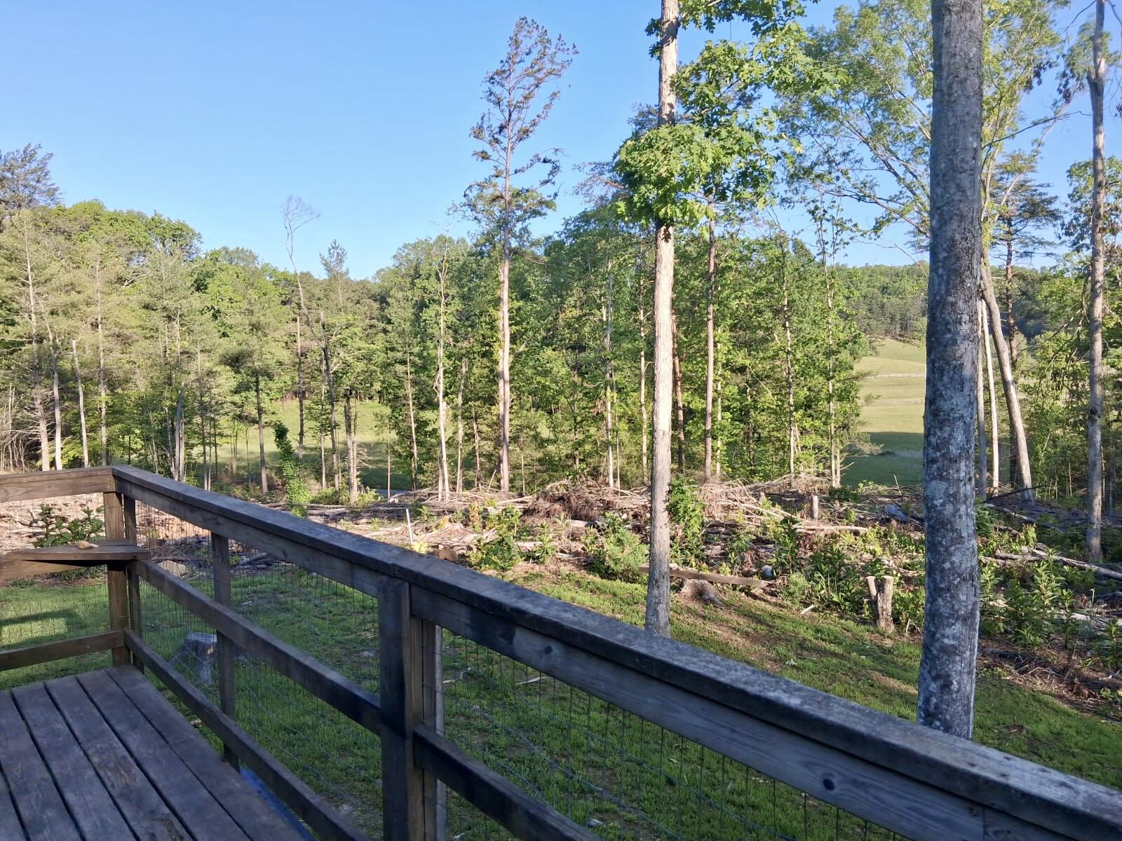233 Fingerboard Road Tellico Plains, TN 37385 - Photo 11 of 18 image000000