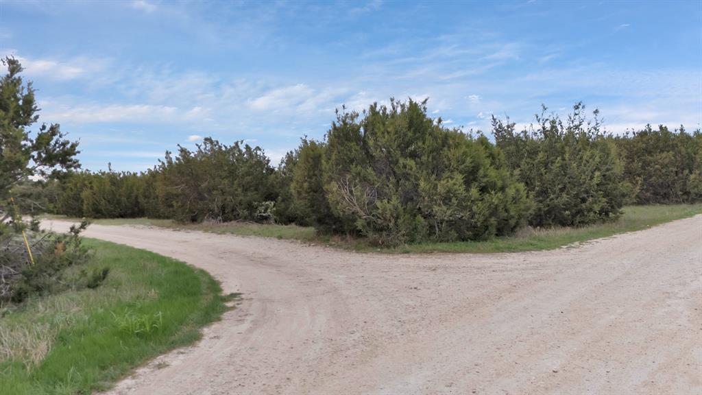 9112 Valley View Court Cleburne, TX 76033 - Photo 12 of 13 a view of a dry yard with trees in the background