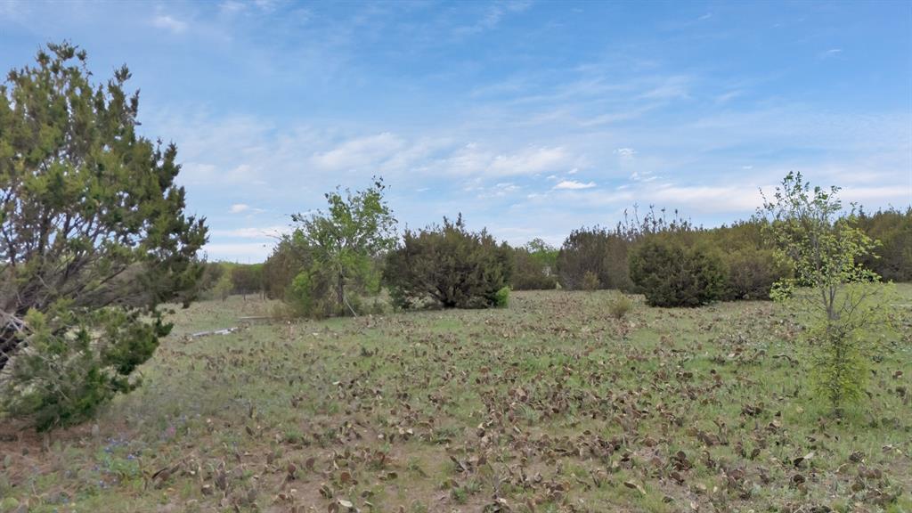 9112 Valley View Court Cleburne, TX 76033 - Photo 13 of 13 a view of a dry yard with trees in the background