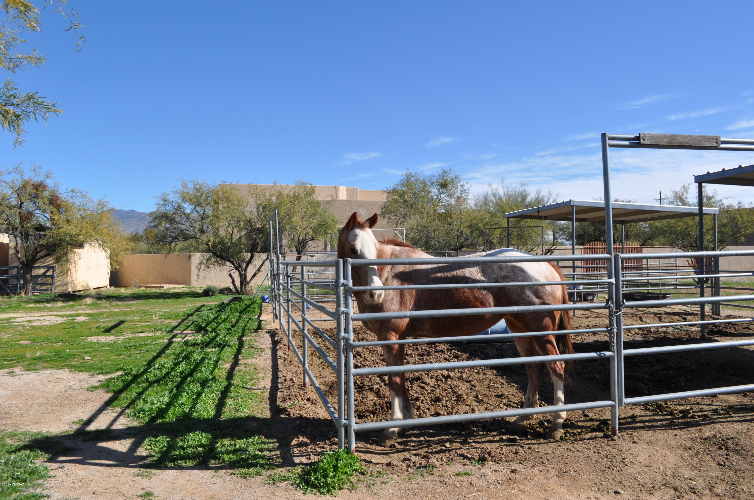 4450 South Audrey Road Tucson, AZ 85730 - Photo 27 of 35