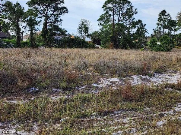 $28,500 | 1230 Edelweiss Street East, Lehigh Acres, FL 33974