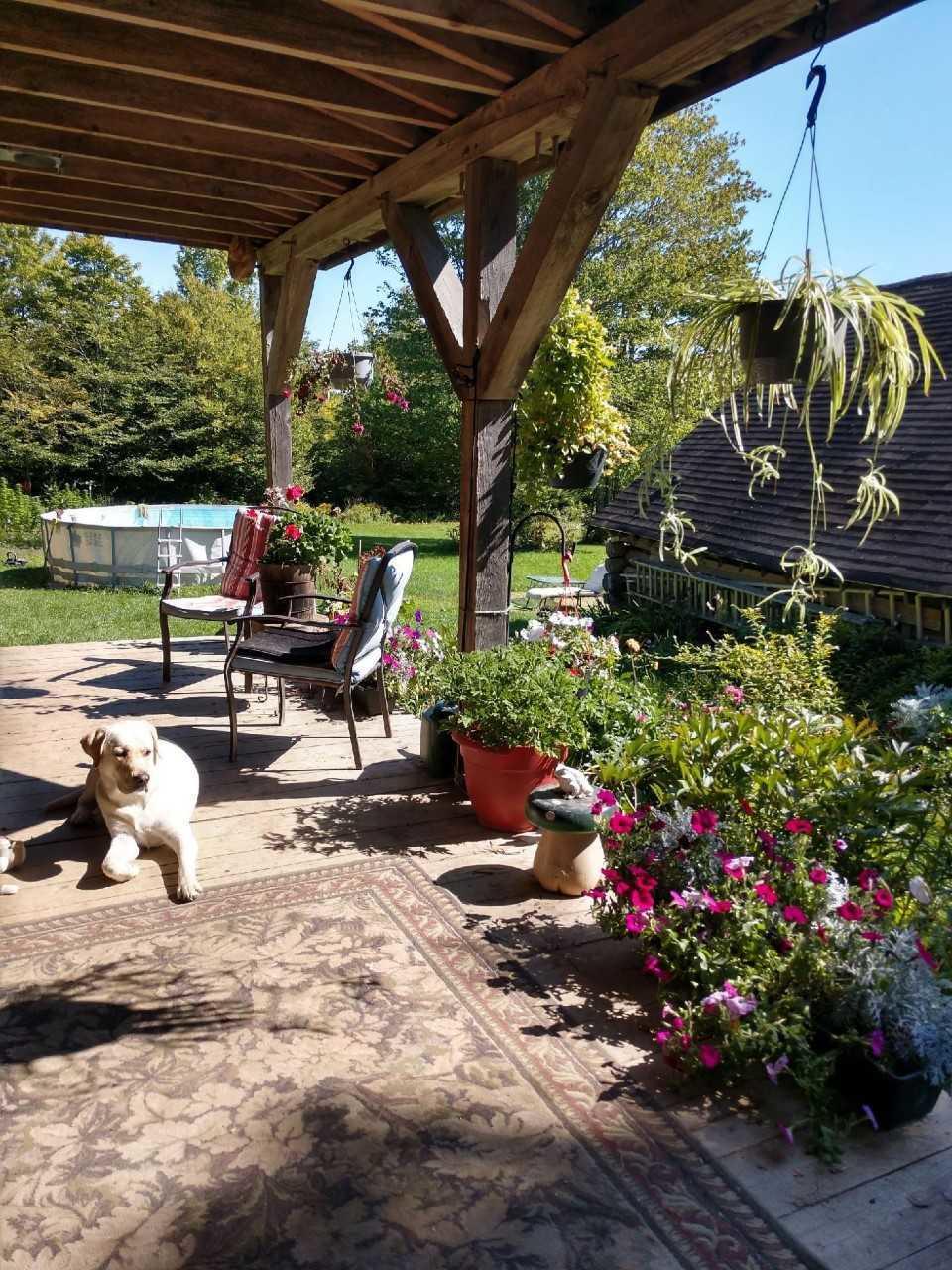 99 Batchelder Road Garland, ME 04939 - Photo 31 of 42 29. Wrap around porch and dog
