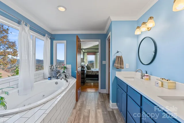 a bath room with a window and a potted plant