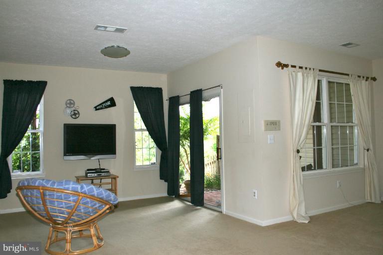 44097 Rising Sun Terrace Ashburn, VA 20147 - Photo 12 of 30 Basement