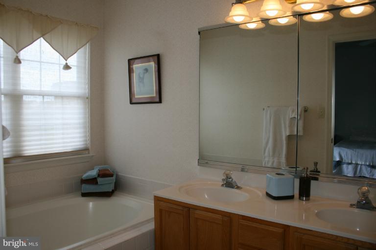 44097 Rising Sun Terrace Ashburn, VA 20147 - Photo 17 of 30 Bath (Master)