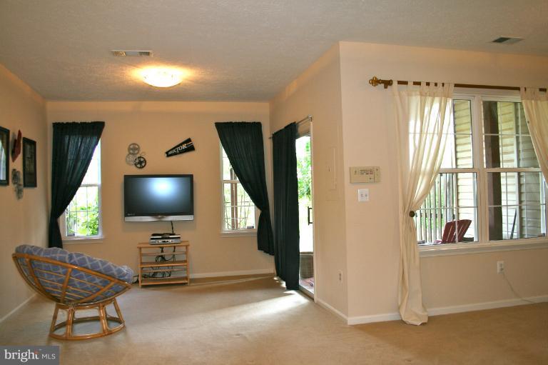 44097 Rising Sun Terrace Ashburn, VA 20147 - Photo 29 of 30 Basement
