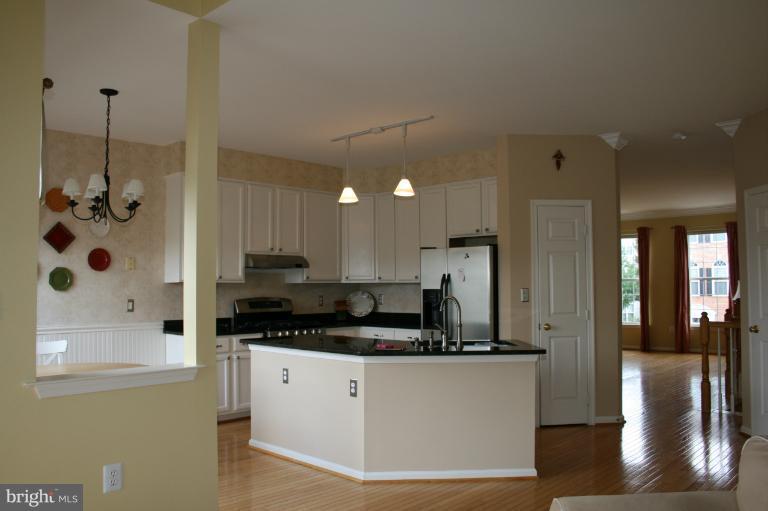 44097 Rising Sun Terrace Ashburn, VA 20147 - Photo 6 of 30 Kitchen