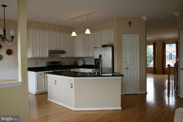 44097 Rising Sun Terrace Ashburn, VA 20147 - Photo 9 of 30 Kitchen