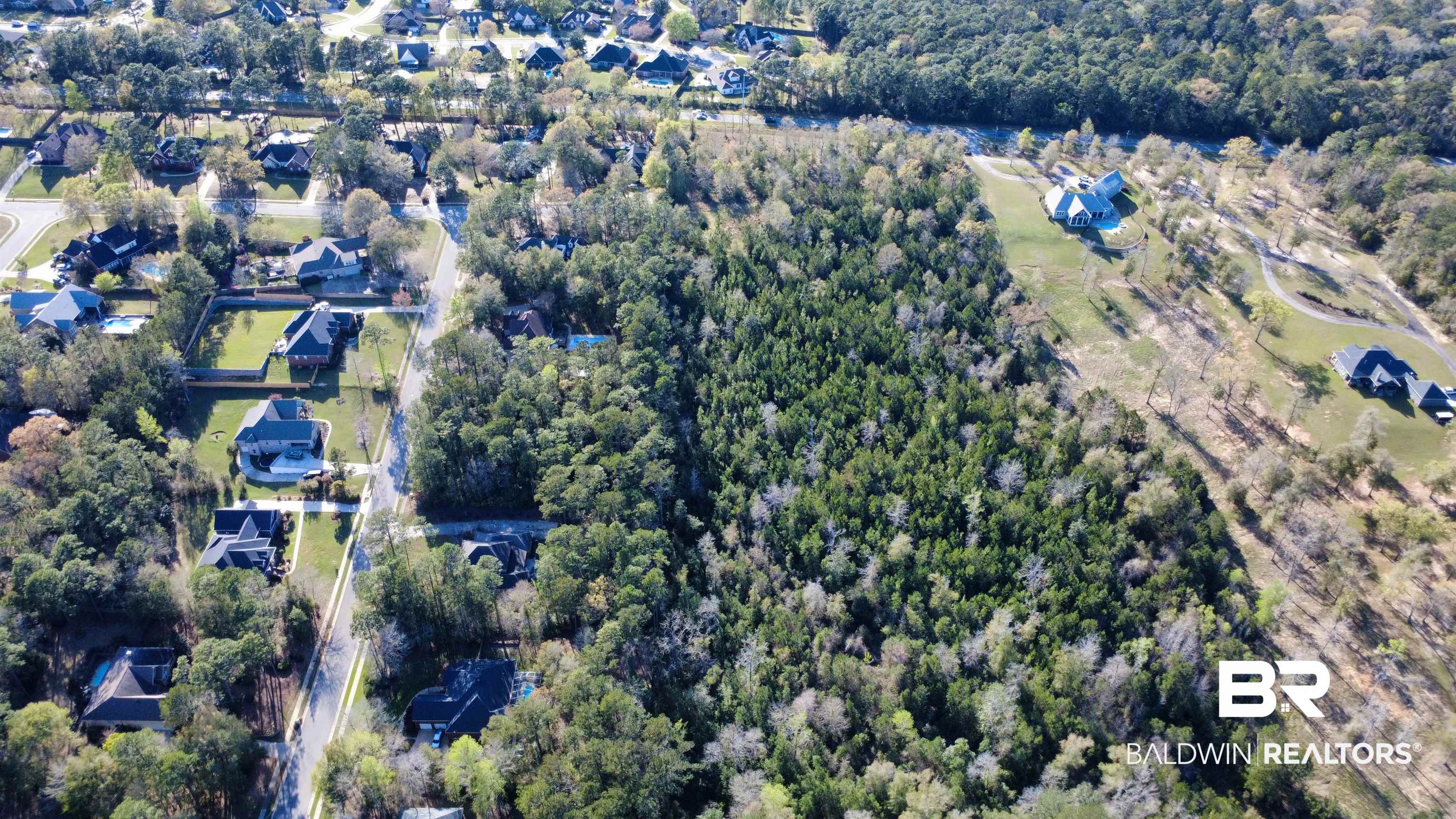 2 State Highway Daphne, AL 36527 - Photo 5 of 8