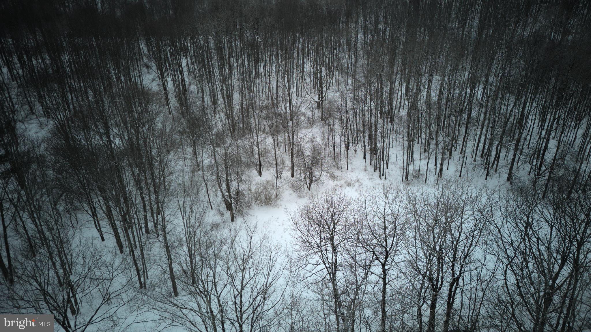 0 Shrawder Mountain Road Starrucca, PA 18462 - Photo 17 of 21 Gallery Image 17
