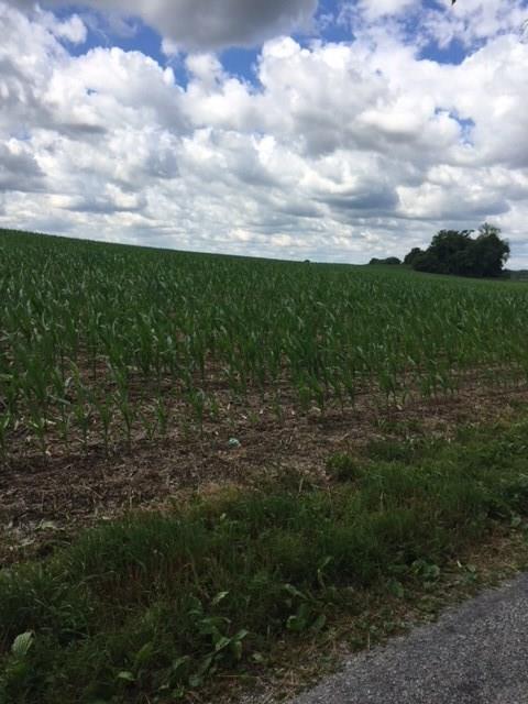 10800 North Goose Road Knightstown, IN 46148 - Photo 3 of 11 Gallery Image 3