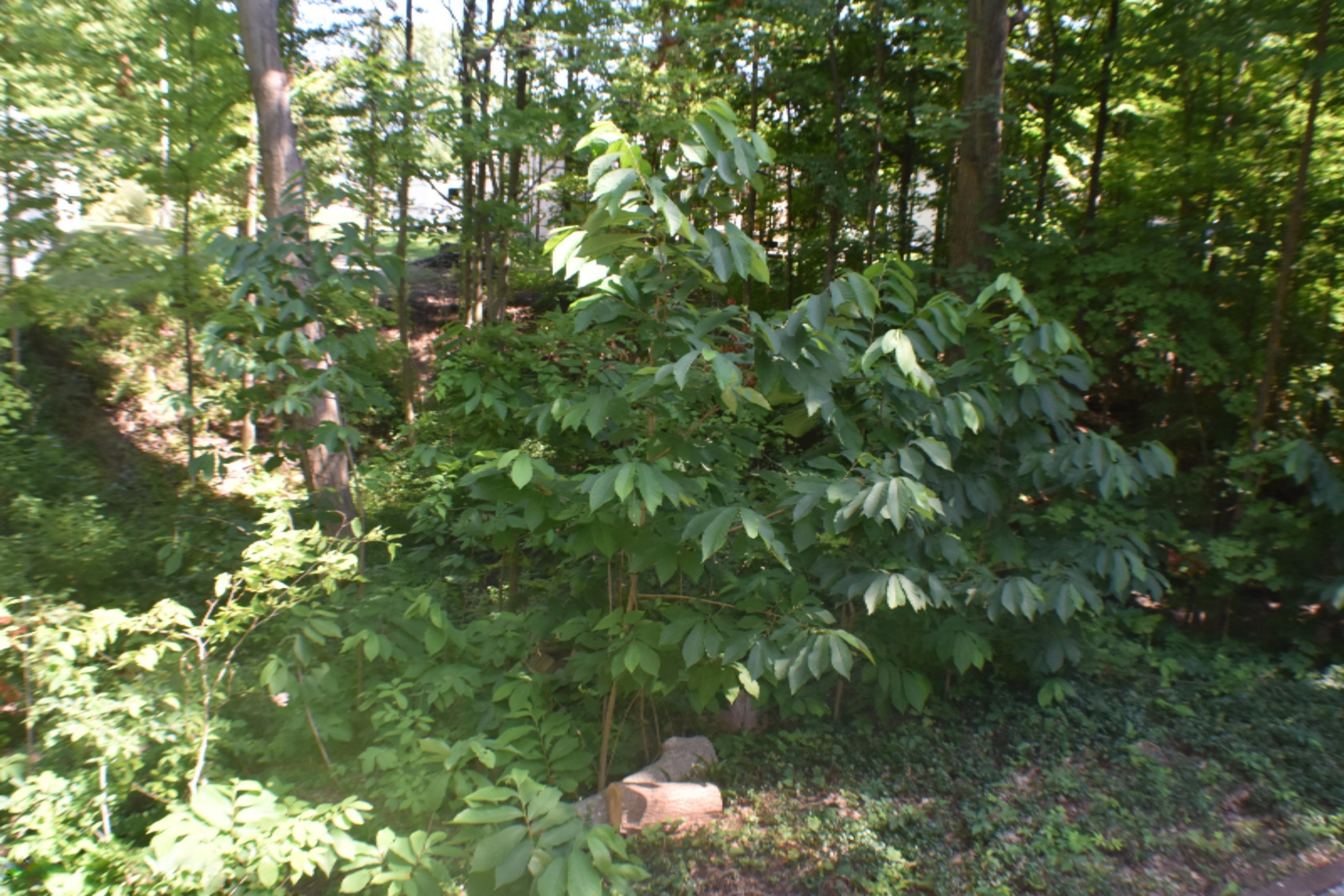 4047 Ravina Terrace St. Joseph, MI 49085 - Photo 65 of 71 DSC_0466