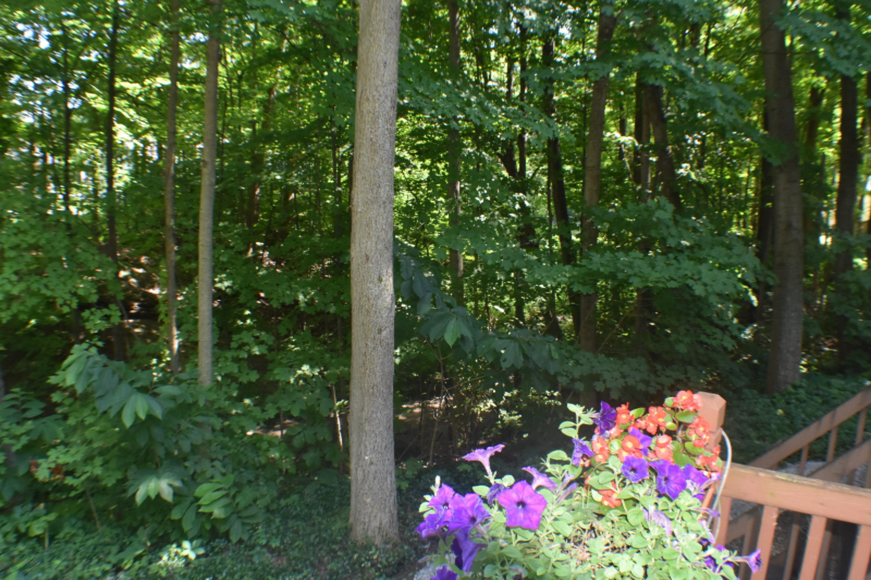 4047 Ravina Terrace St. Joseph, MI 49085 - Photo 67 of 71 DSC_0464