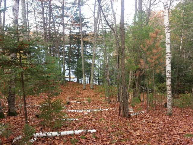 On Helmar Road Minocqua, WI 54548 - Photo 2 of 13 Gallery Image 2