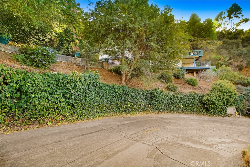 981 Glen Oaks Boulevard Pasadena, CA 91105 - Photo 6 of 10 a view of a yard with plants and large trees