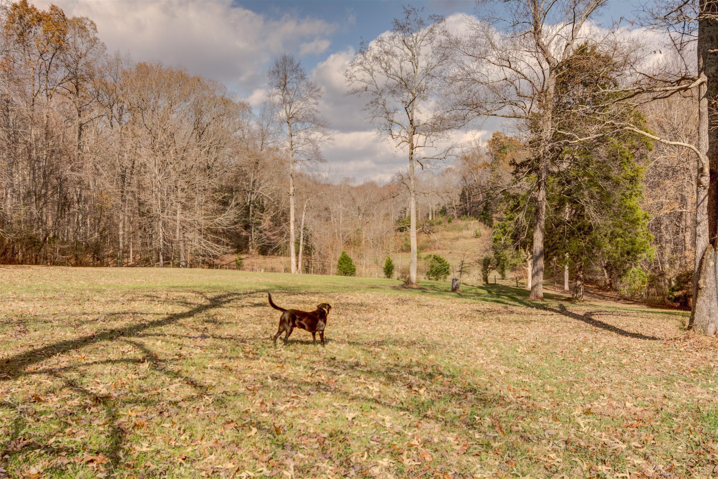 625 Salem Ridge Road Clarksville, TN 37040 - Photo 28 of 30 Gallery Image 28