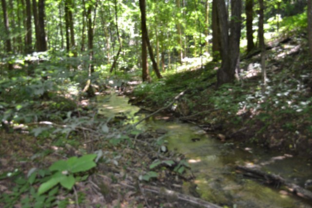 0 Pea Ridge Fire Tower Road Celina, TN 38551 - Photo 17 of 53