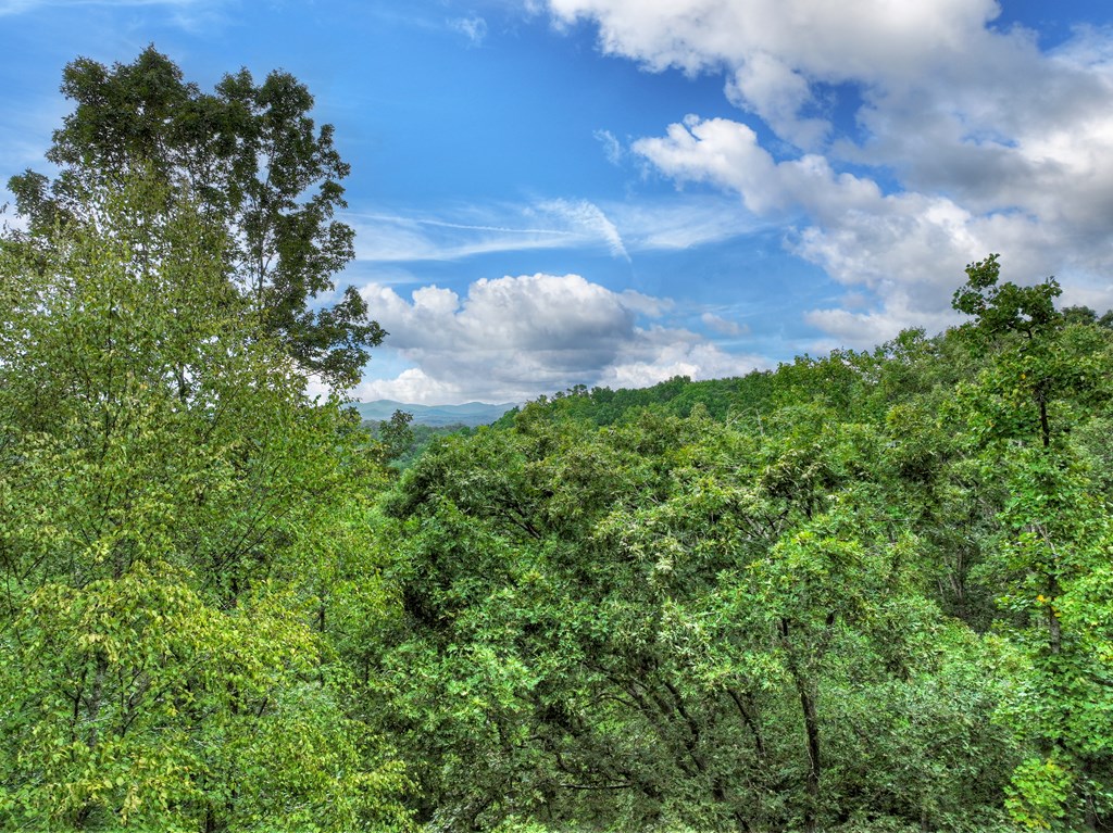 34.51-ac Weaver Creek Road Blue Ridge, GA 30513 - Photo 25 of 26 Gallery Image 25