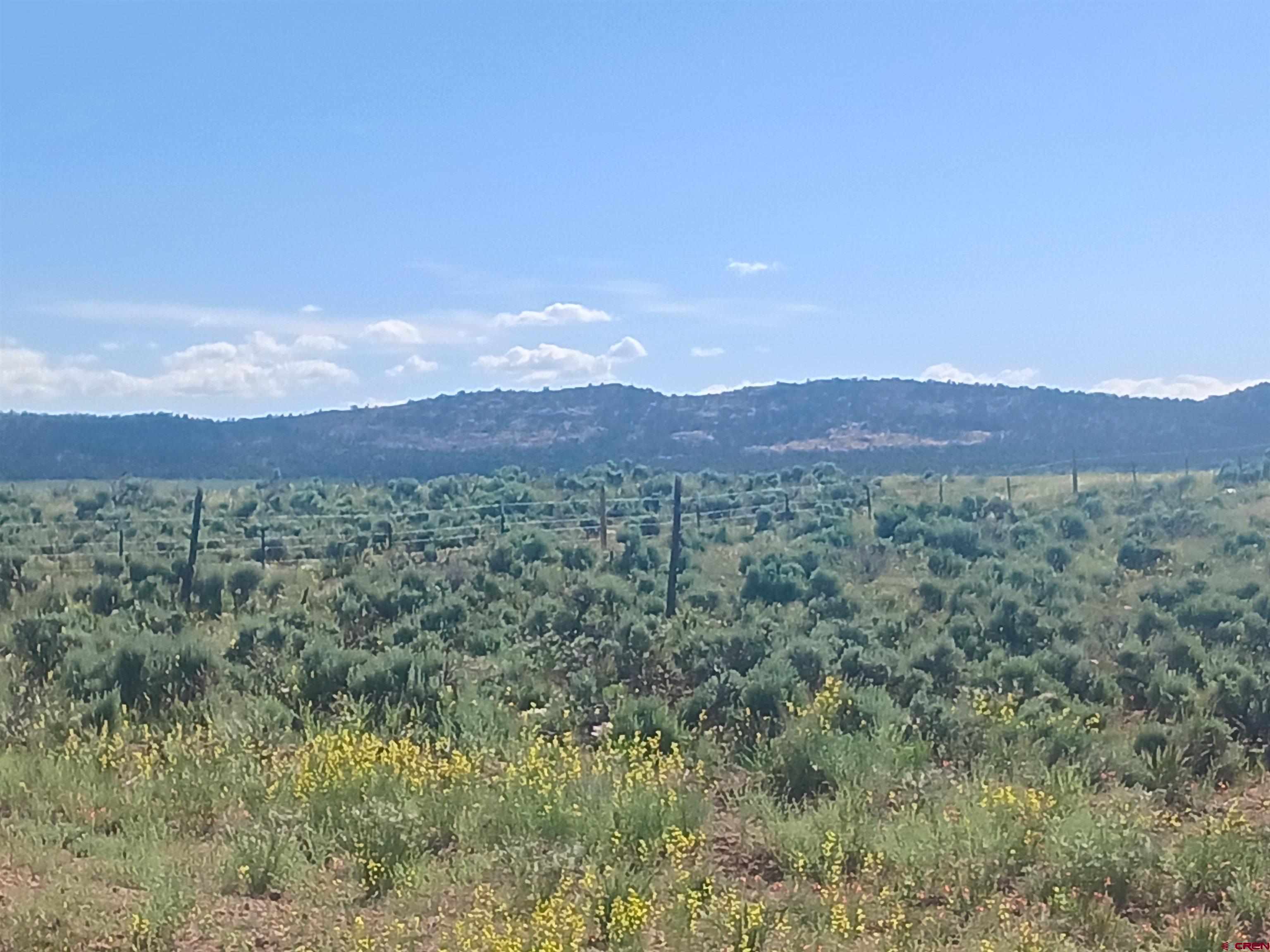 Tbd 25r Road Naturita, CO 81423 - Photo 11 of 16 a view of a lush green hillside and a mountain
