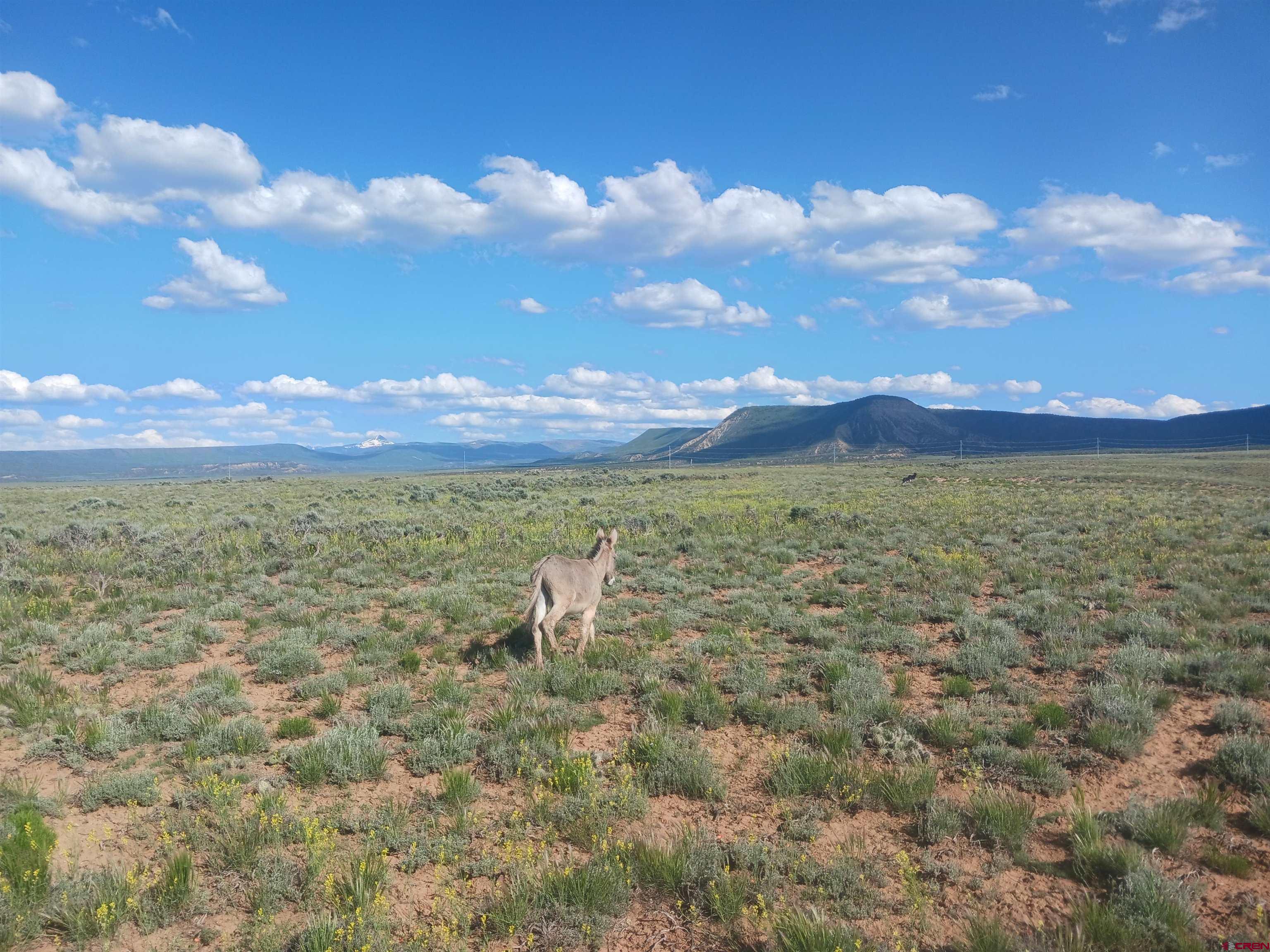 Tbd 25r Road Naturita, CO 81423 - Photo 6 of 16 a view of a lake with sunset in the background