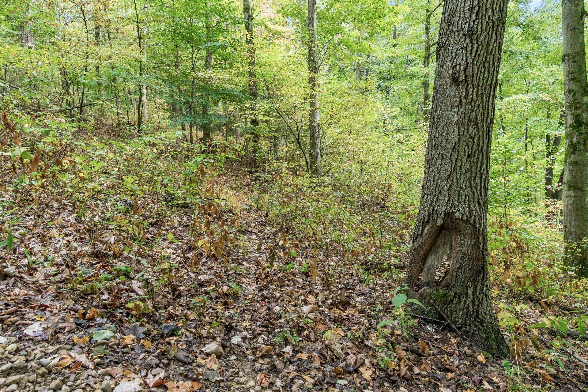 18075 Proper Road Mount Vernon, OH 43050 - Photo 13 of 40 010_roe Township OH 43050 USA