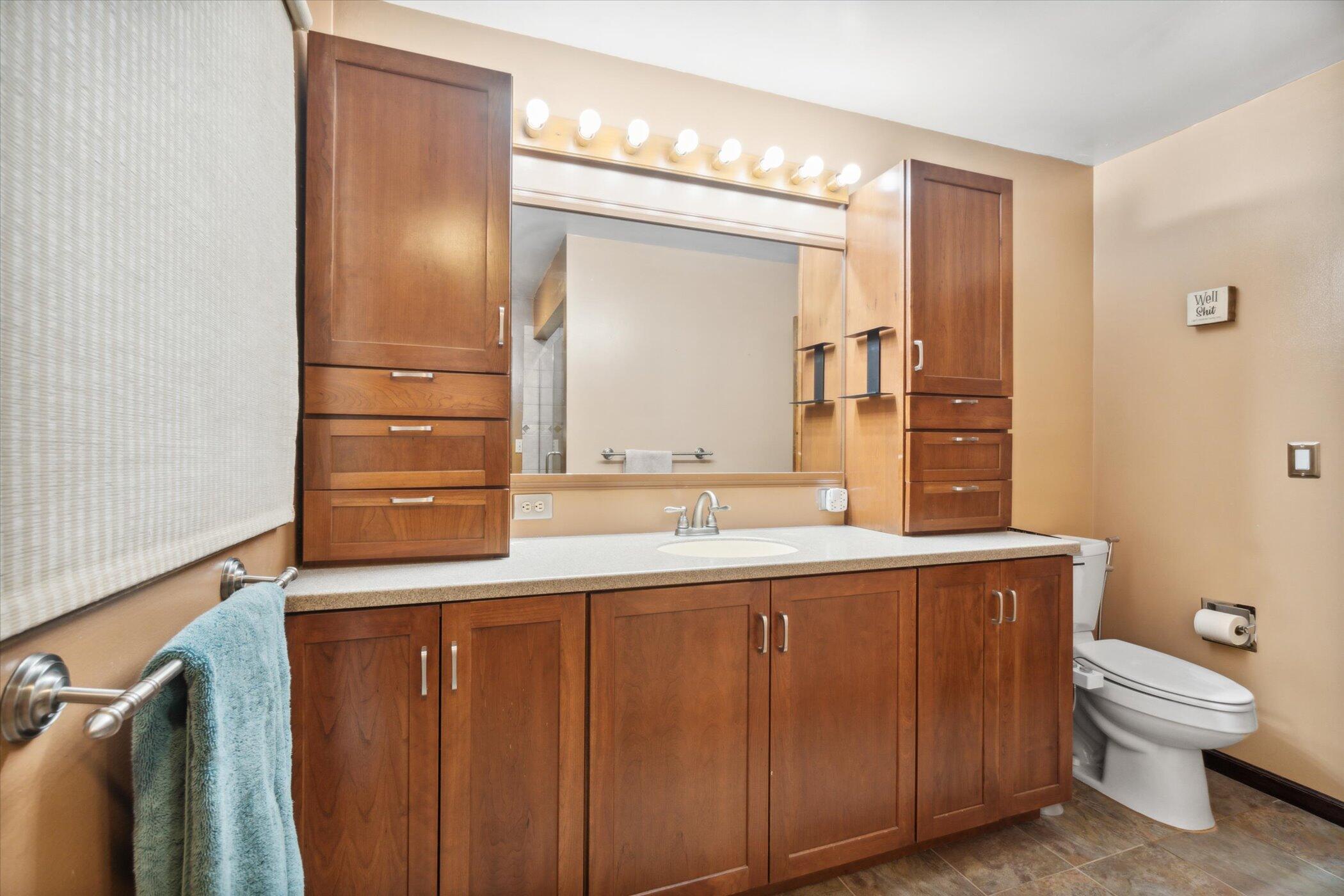 3423 Bailey Road Jackson, MI 49201 - Photo 41 of 49 28-3423-Bailey-Rd-Jackson-MI-49201-Windo