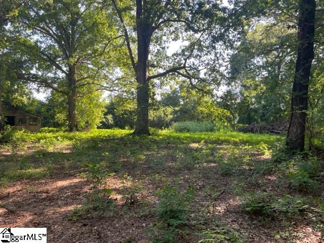 0 Bellview Church Road Laurens, SC 29360 - Photo 5 of 8 Gallery Image 5