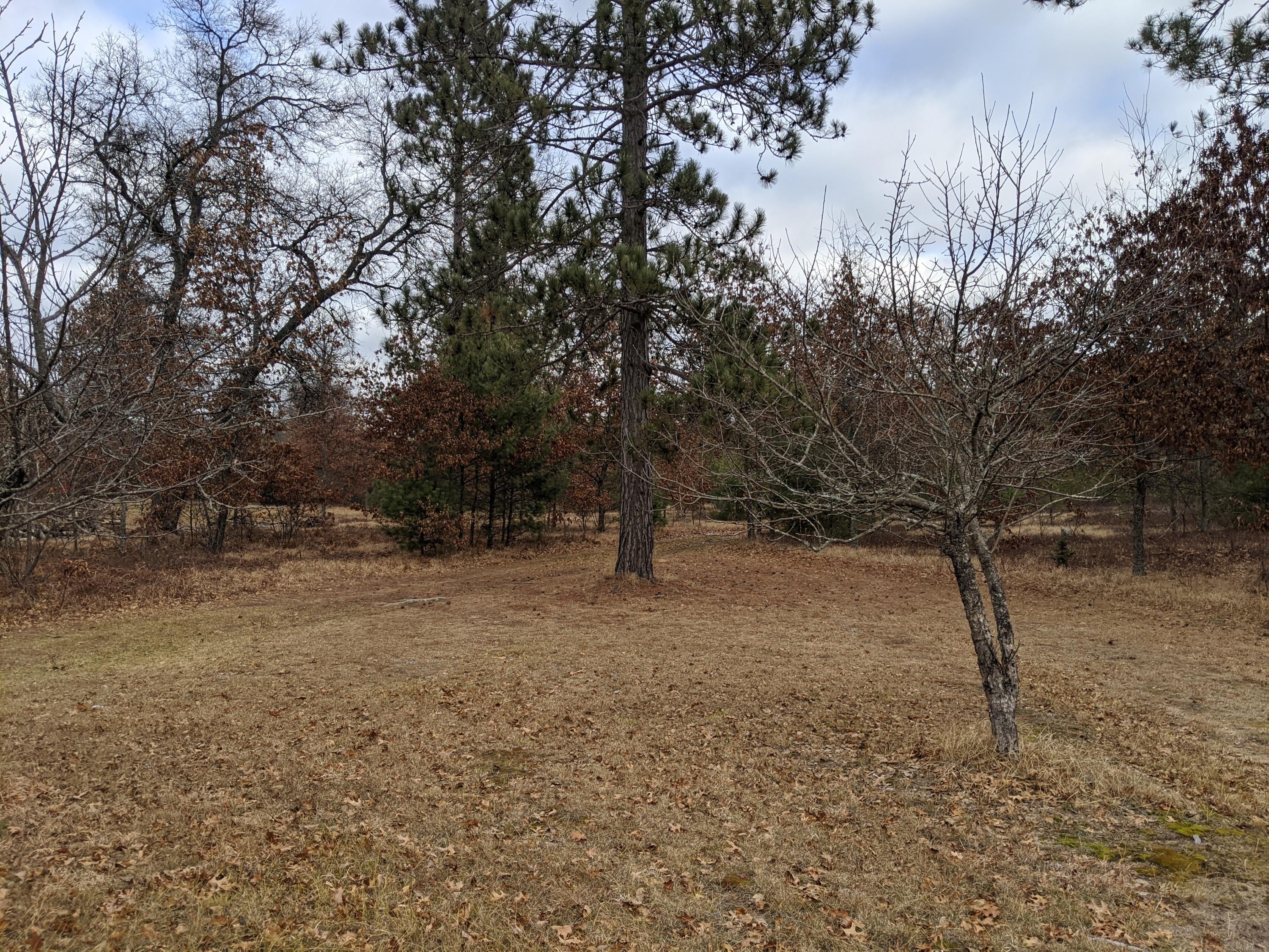11695 Hoetzel Road Roscommon, MI 48653 - Photo 44 of 53 Gallery Image 44