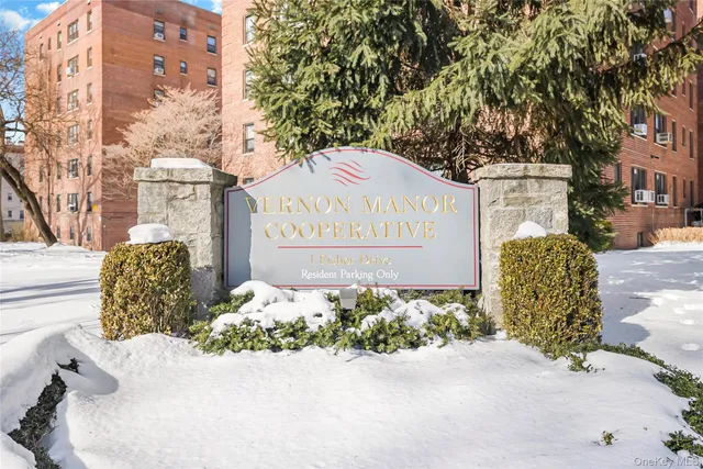 a view of a bunch of flower plants