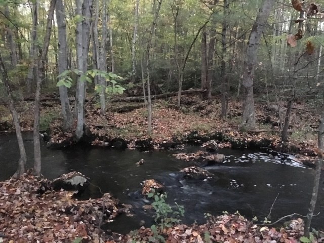 148 Powder Hill Road Bedford, NH 03110 - Photo 36 of 40