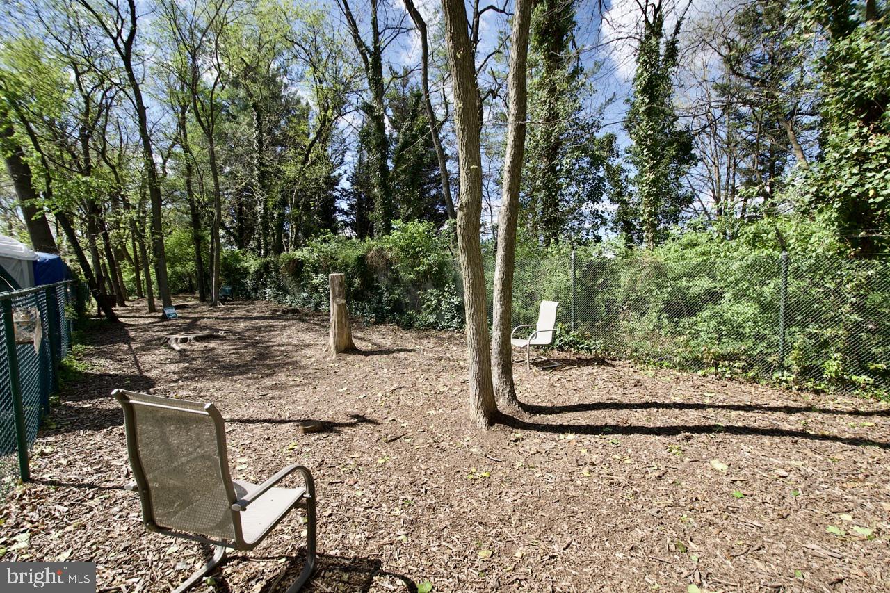 2105 Walsh View Terrace, Unit 15302 Silver Spring, MD 20902 - Photo 23 of 32 Gallery Image 23