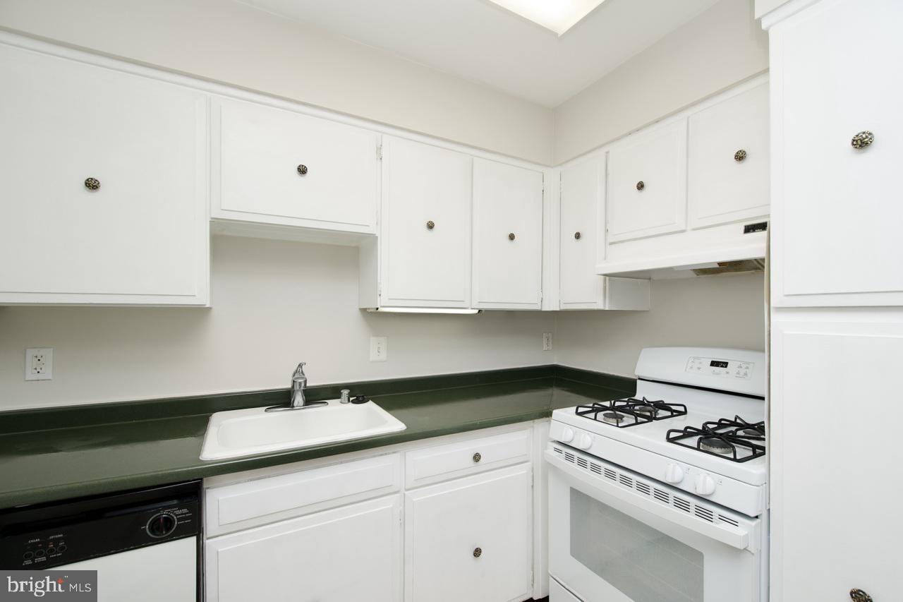 2105 Walsh View Terrace, Unit 15302 Silver Spring, MD 20902 - Photo 9 of 32 Gallery Image 9