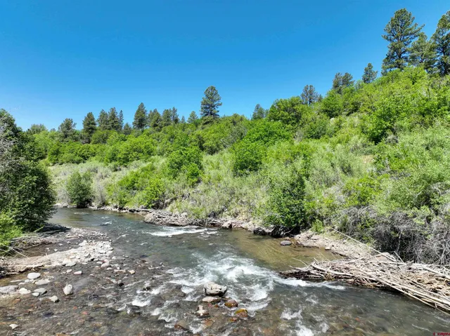 a view of a large yard with lots of green space