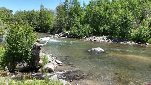 a view of a tree in a yard