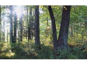 N/a North Starnes Road Bloomington, IN 47404 - Photo 1 of 3