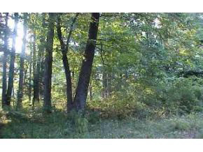 N/a North Starnes Road Bloomington, IN 47404 - Photo 2 of 3