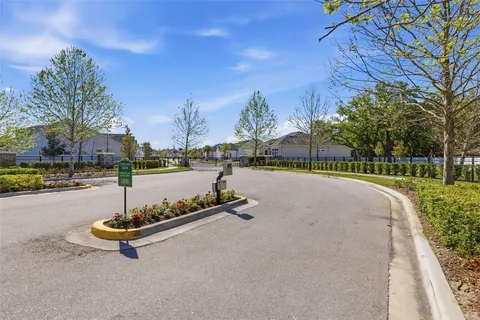 a view of a park with large trees