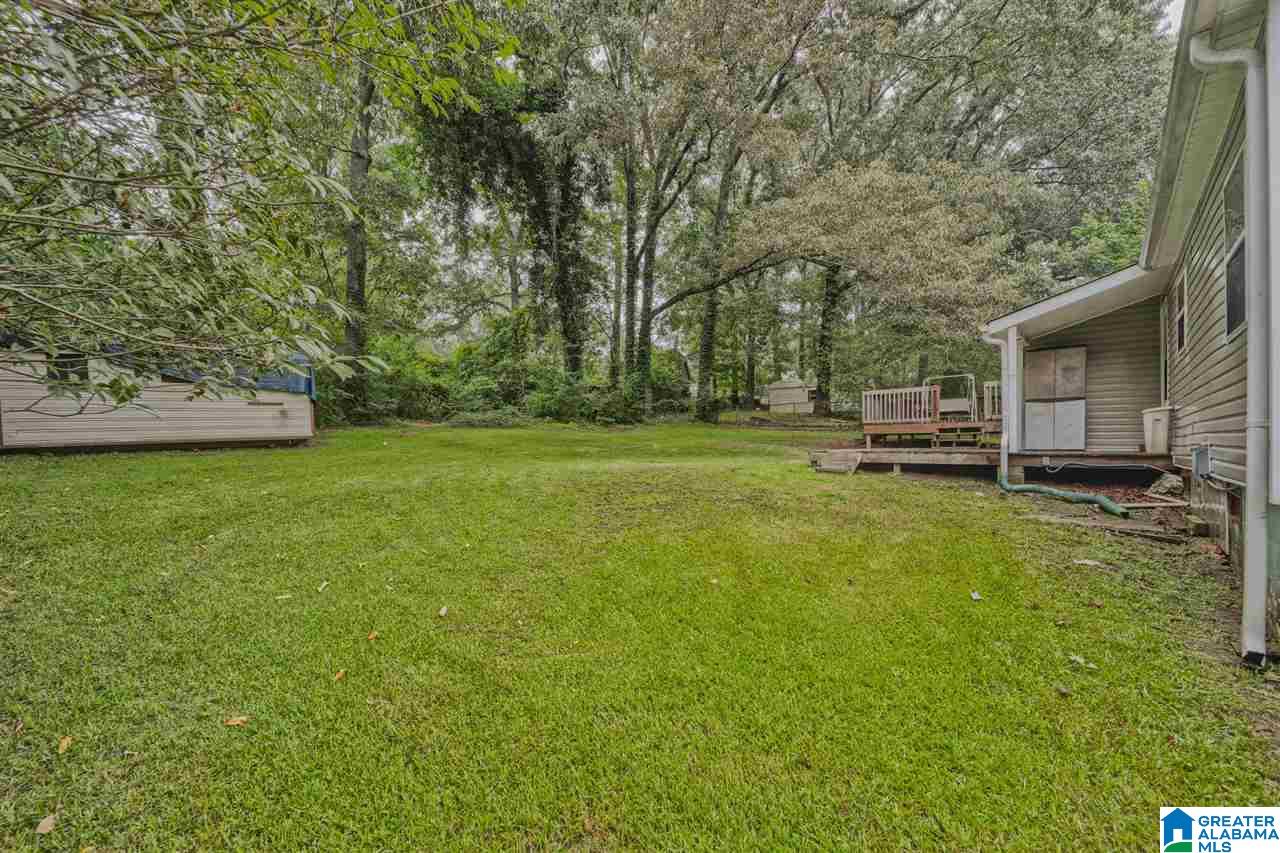 271 Pleasant Road Mount Olive, AL 35117 - Photo 4 of 22 Gallery Image 4
