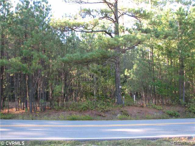 11200 Nash Road Chesterfield, VA 23838 - Photo 1 of 10 a view of a yard and tree
